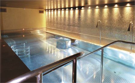 1 Stainless Steel Vitality Pool